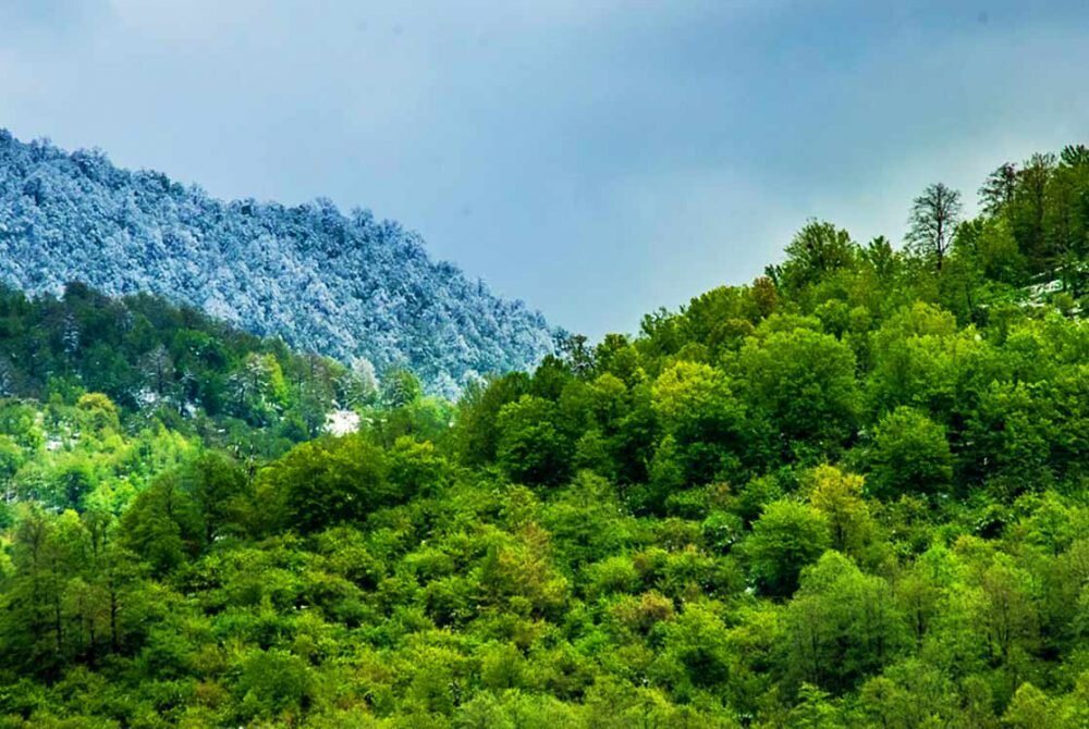 منابع طبیعی ایران